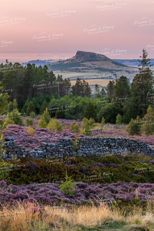 To buy a print or any of the below please click on the images